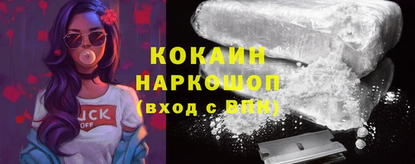 шишки Абинск
