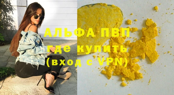 шишки Абинск
