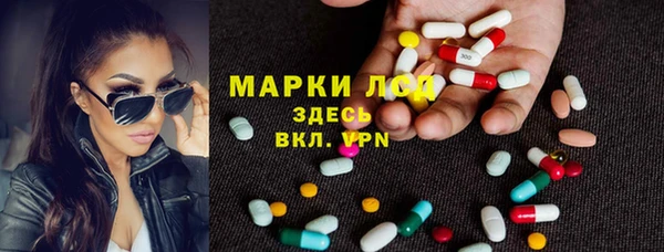 шишки Абинск