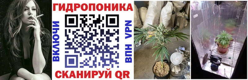 Канабис SATIVA & INDICA  Нестеровская 